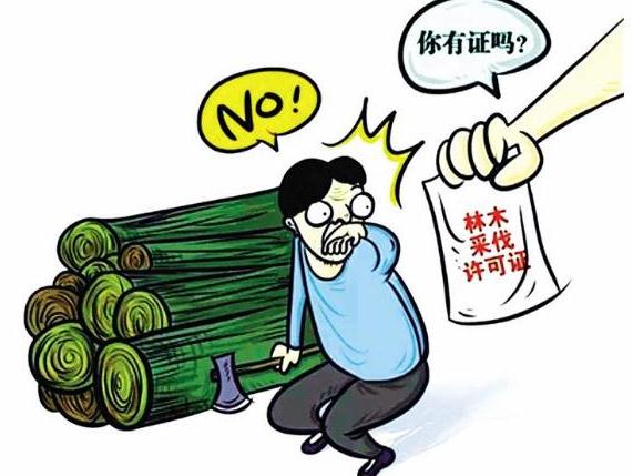 不懂法男子帮人砍树摊上了事