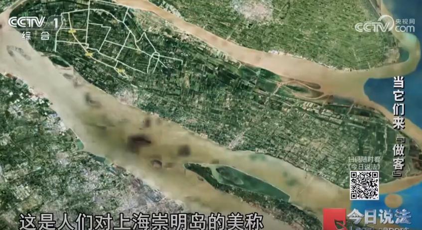 360截图20250521101946722.jpg